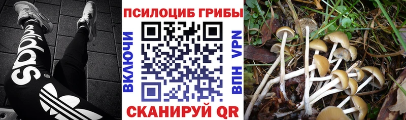 Псилоцибиновые грибы мицелий  Дудинка 